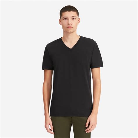 everlane v neck tee.